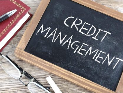 Professional Credit Management – Expert, Specialist, and Relationship Driven