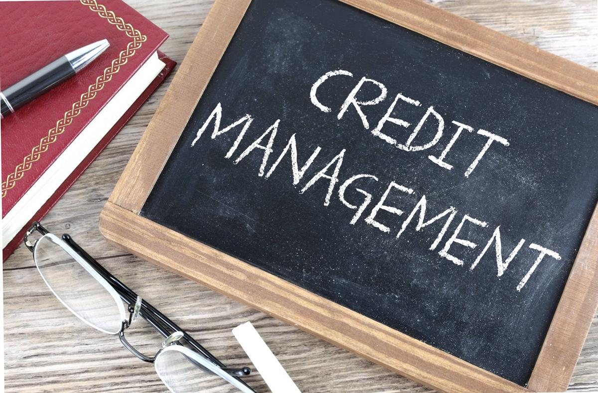 Professional Credit Management – Expert, Specialist, and Relationship Driven